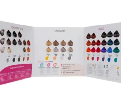 Farbe/blondierung*Alter Ego Passion Color Mask Farbkarte 2024