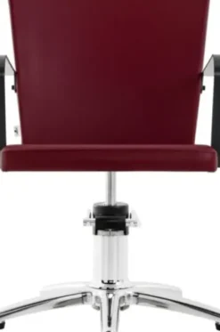 Coiffeureinrichtungen* DOBI Smartline Frisierstuhl Riad