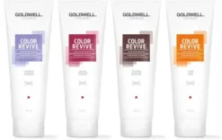 Haarpflege*GOLDWELL Dualsenses Color Revive Shampoo