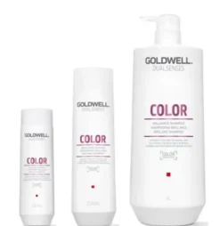 Haarpflege*GOLDWELL Dualsenses Color Brilliance Shampoo