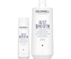 Haarpflege*GOLDWELL Dualsenses Just Smooth Taming Shampoo