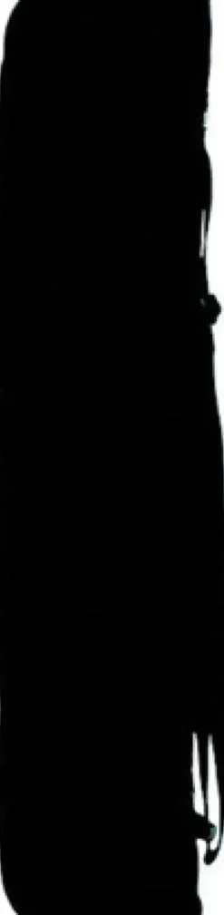 Fusspflegeeinrichtungen*IONTO COMED Tragtasche