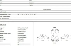 Verbrauchsmaterial*dobi Kundenkarteikarten Fusspflege