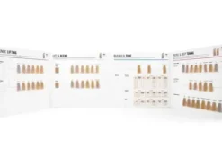 Farbe/blondierung*Schwarzkopf Color Chart BLONDME 03/23