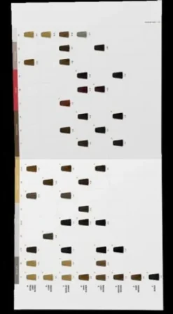 Farbe/blondierung*Schwarzkopf Igora Zero Amm Compact Book