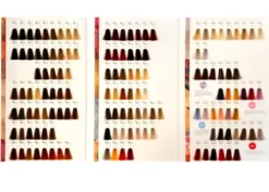 Farbe/blondierung*Super Brillant Color Farbberatungskarte 2022